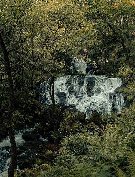 Nature
